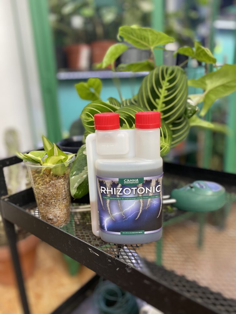 Zdjęcie akcesoria Canna Rhizotonic stymulator wzrostu 250 ml, ujęcie 1