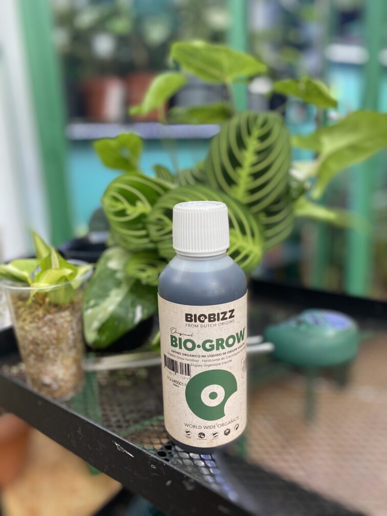 nawoz-organiczny-bio-grow-biobizz_250ml-1_1642591235.jpg Zdjęcie akcesoria Nawóz organiczny Bio-Grow BioBizz 250 ml, ujęcie 1