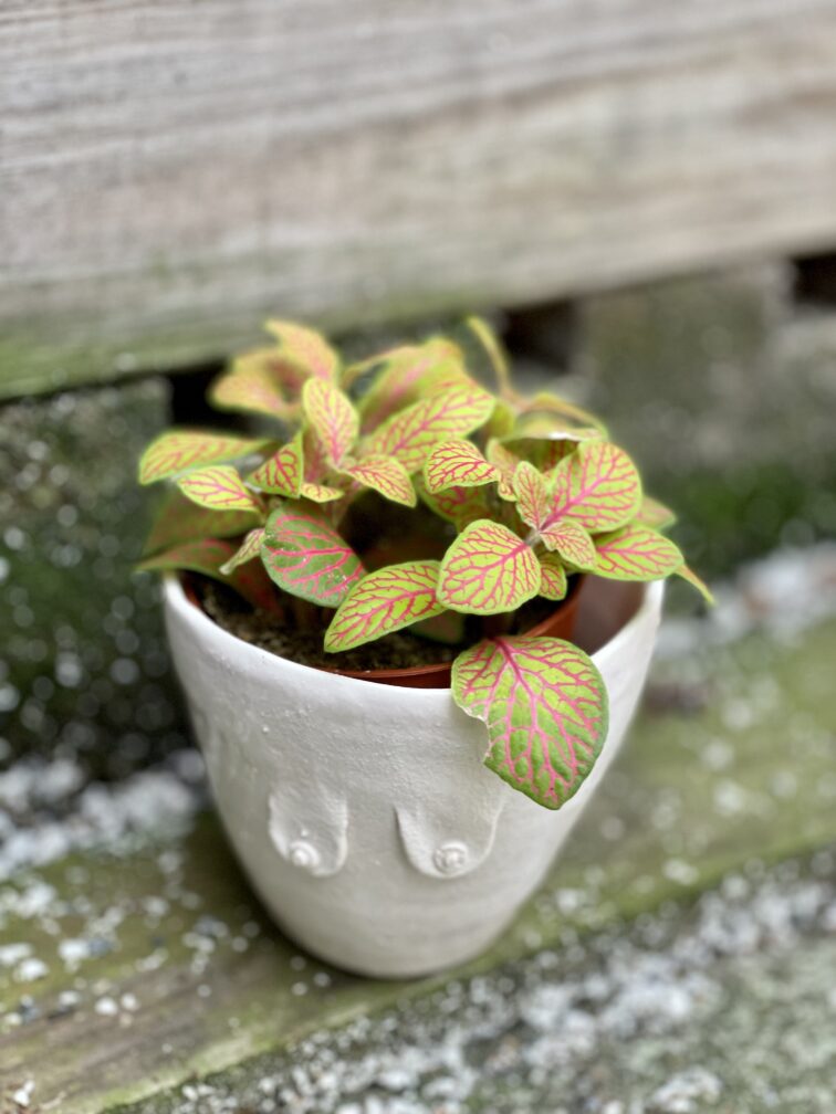 Zdjęcie doniczki lub oslonki: Osłonka Boginka Pink Baby 9x9&nbsp;cm, ujęcie 2