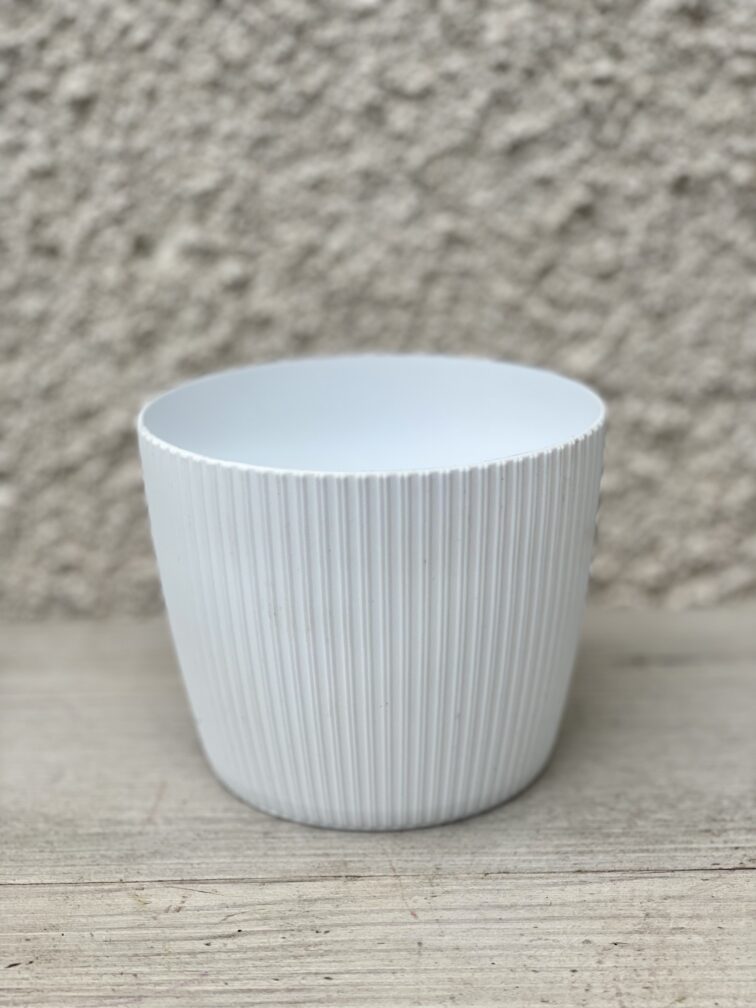 Zdjęcie doniczki lub oslonki: Osłonka plastikowa biała 10x8&nbsp;cm, ujęcie 1