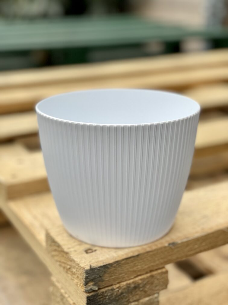 Zdjęcie doniczki lub oslonki: Osłonka plastikowa biała 13x11&nbsp;cm, ujęcie 1