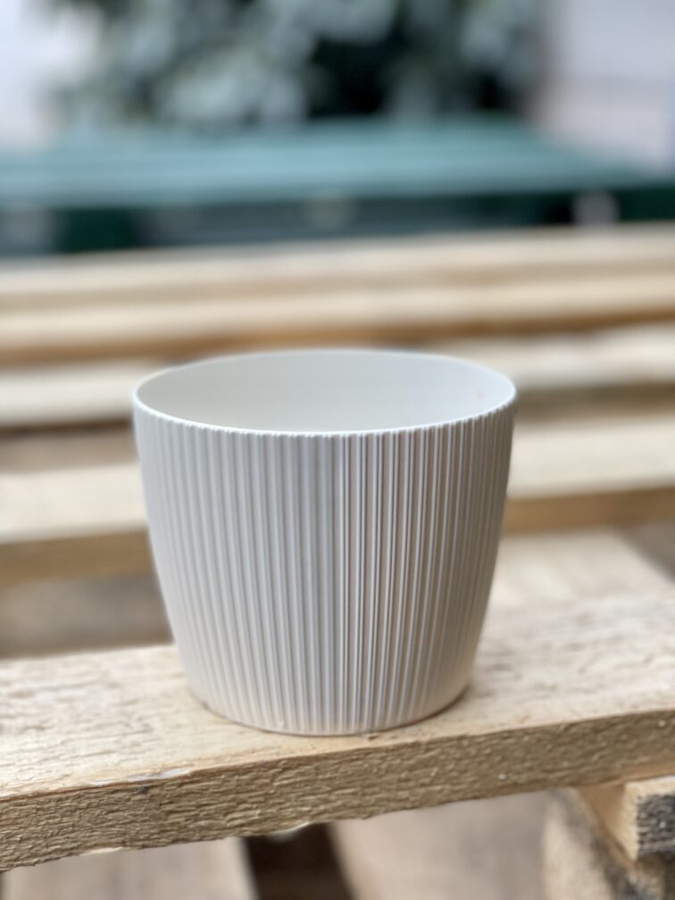 Zdjęcie doniczki lub oslonki: Osłonka plastikowa ecru 10x8&nbsp;cm, ujęcie 1