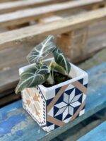 Zdjęcie doniczki lub oslonki: Osłonka Heritage Taco 9x11&nbsp;cm, ujęcie 2