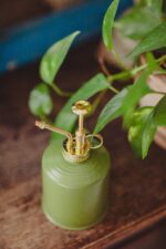 Zdjęcie akcesoria Spryskiwacz oliwkowy 0,75l, ujęcie 2