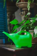 Zdjęcie akcesoria Konewka plastikowa Słonik Neon Green 1,5l, ujęcie 1