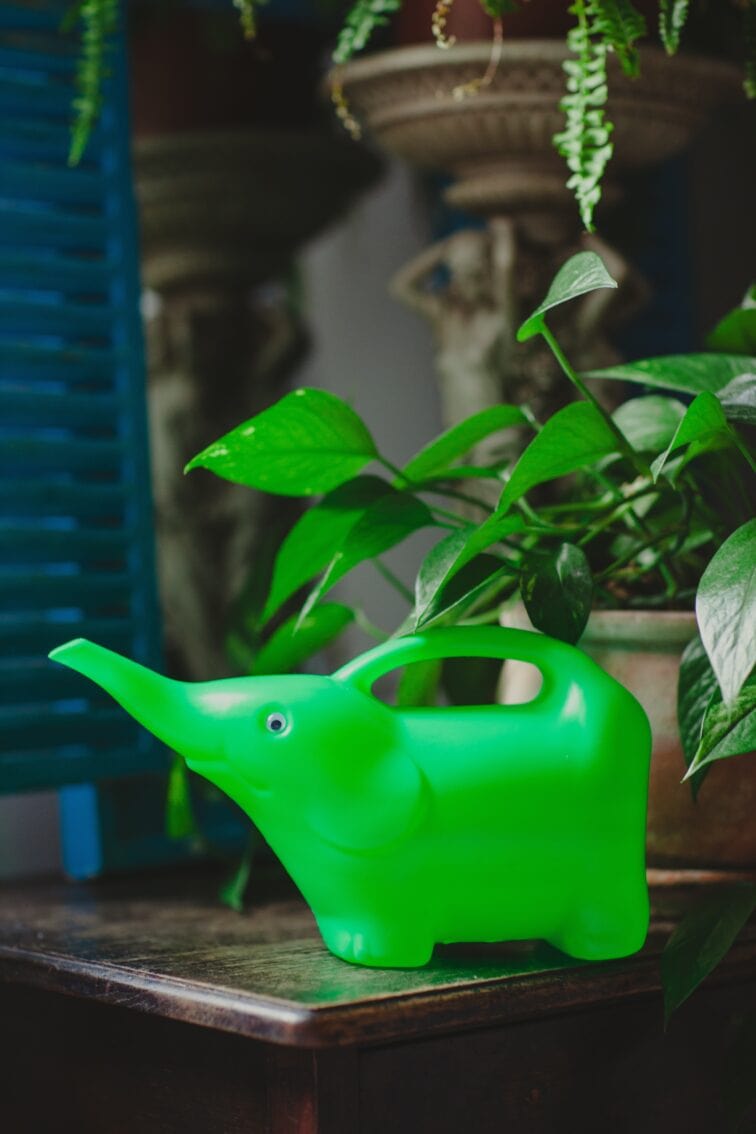 Zdjęcie akcesoria Konewka plastikowa Słonik Neon Green 1,5l, ujęcie 1