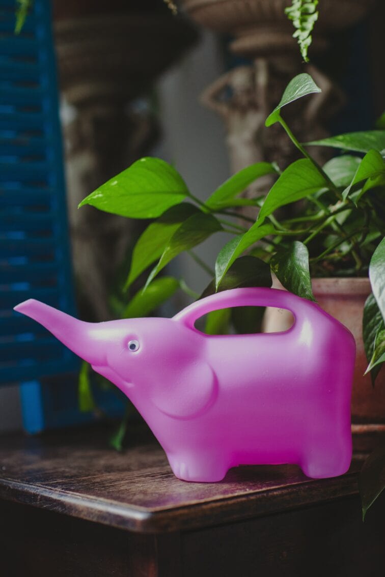 Zdjęcie akcesoria Konewka plastikowa Słonik Neon Pink 1,5l, ujęcie 1
