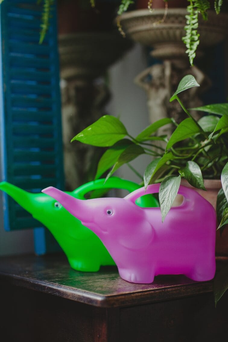 Zdjęcie akcesoria Konewka plastikowa Słonik Neon Pink 1,5l, ujęcie 3