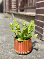 Zdjęcie doniczki lub oslonki: Osłonka Mahair orange 12 × 13 cm, ujęcie 2