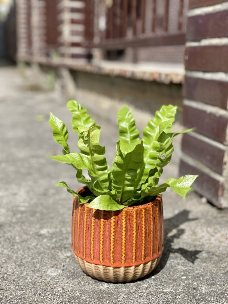 Zdjęcie doniczki lub oslonki: Osłonka Mahair orange 12 × 13 cm, ujęcie 2