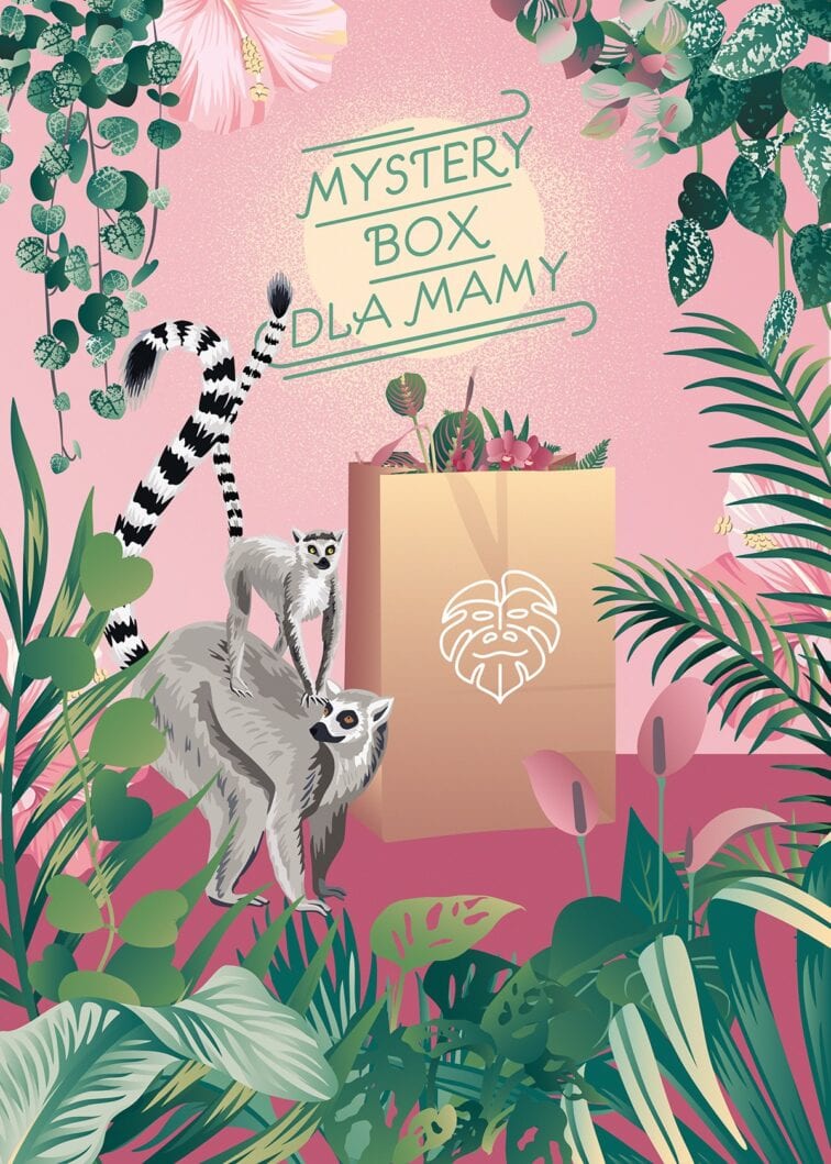 Zdjęcie rosliny doniczkowej Mystery Box Mama Leaf, ujęcie 1