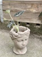 Zdjęcie doniczki lub oslonki: Osłonka Ksantypa Grey 9 × 18 cm, ujęcie 2