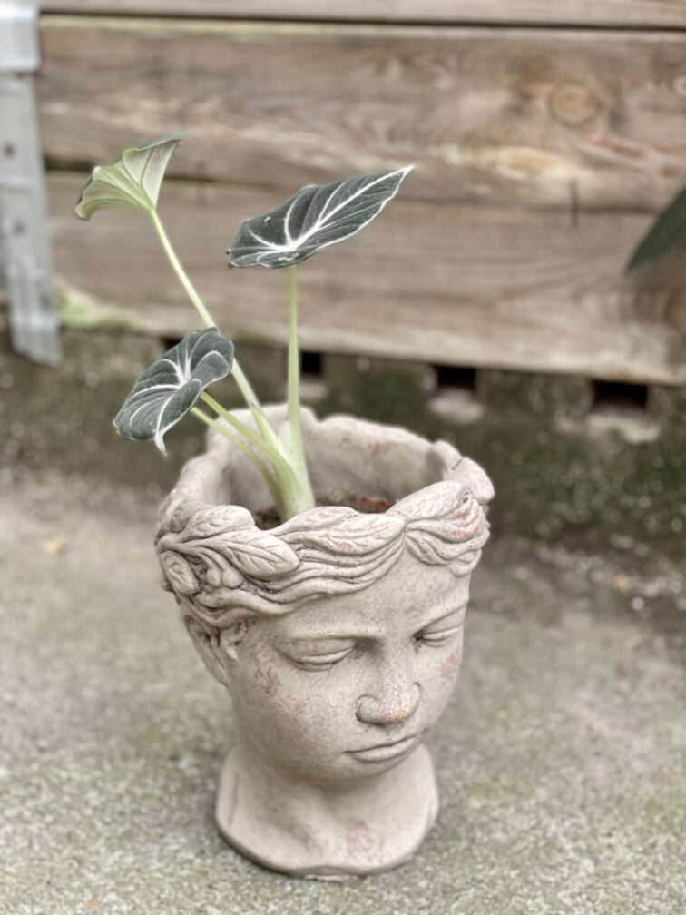 Zdjęcie doniczki lub oslonki: Osłonka Ksantypa Grey 9 × 18 cm, ujęcie 2