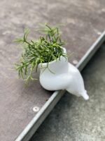 Zdjęcie doniczki lub oslonki: Osłonka Pupi biała 6 × 7 cm, ujęcie 2