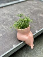 Zdjęcie doniczki lub oslonki: Osłonka Pupi różowa 6 × 7 cm, ujęcie 2