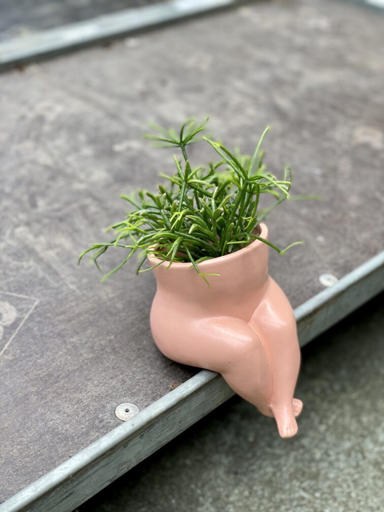 Zdjęcie doniczki lub oslonki: Osłonka Pupi różowa 6 × 7 cm, ujęcie 2