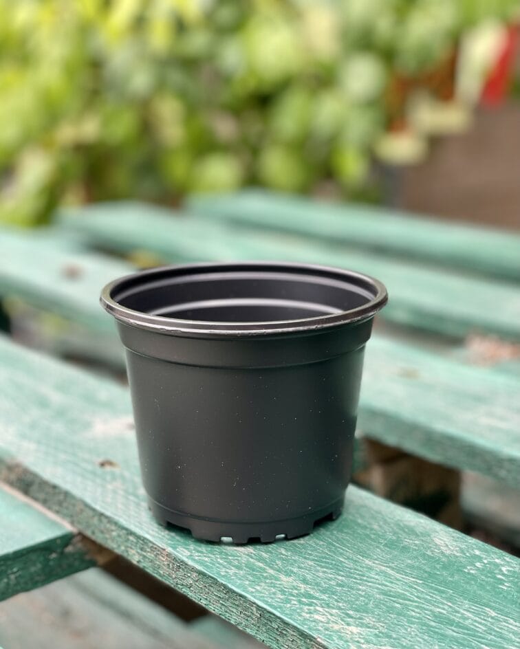 Zdjęcie doniczki lub oslonki: Doniczka plastikowa czarna 11x9, ujęcie 1