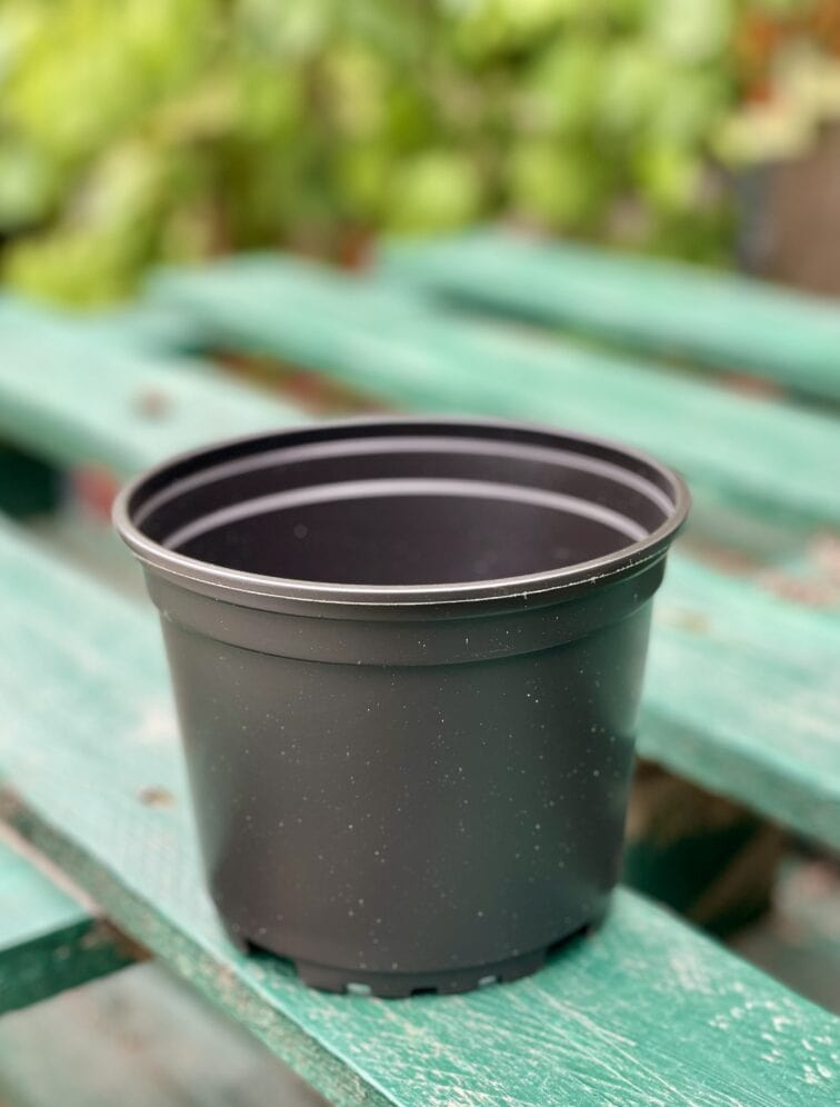 Zdjęcie doniczki lub oslonki: Doniczka plastikowa czarna 13x11, ujęcie 1