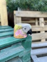 Zdjęcie doniczki lub oslonki: Osłonka Dzwoni Papuga Ara 10 × 12 cm, ujęcie 1