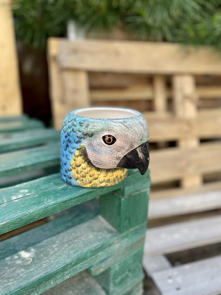 Zdjęcie doniczki lub oslonki: Osłonka Dzwoni Papuga Bara 10 × 12 cm, ujęcie 1