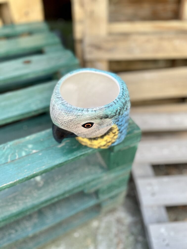 Zdjęcie doniczki lub oslonki: Osłonka Dzwoni Papuga Bara 10 × 12 cm, ujęcie 2