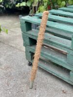 Zdjęcie akcesoria Palik kokosowy 60cm, ujęcie 1