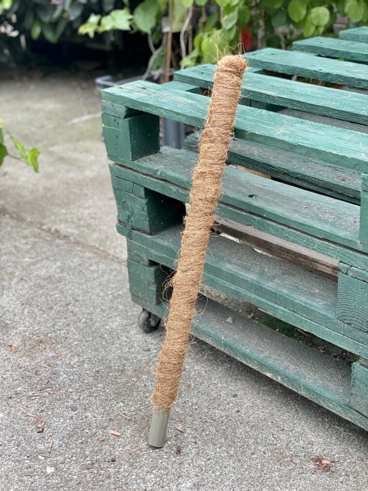 Zdjęcie akcesoria Palik kokosowy 60cm, ujęcie 1