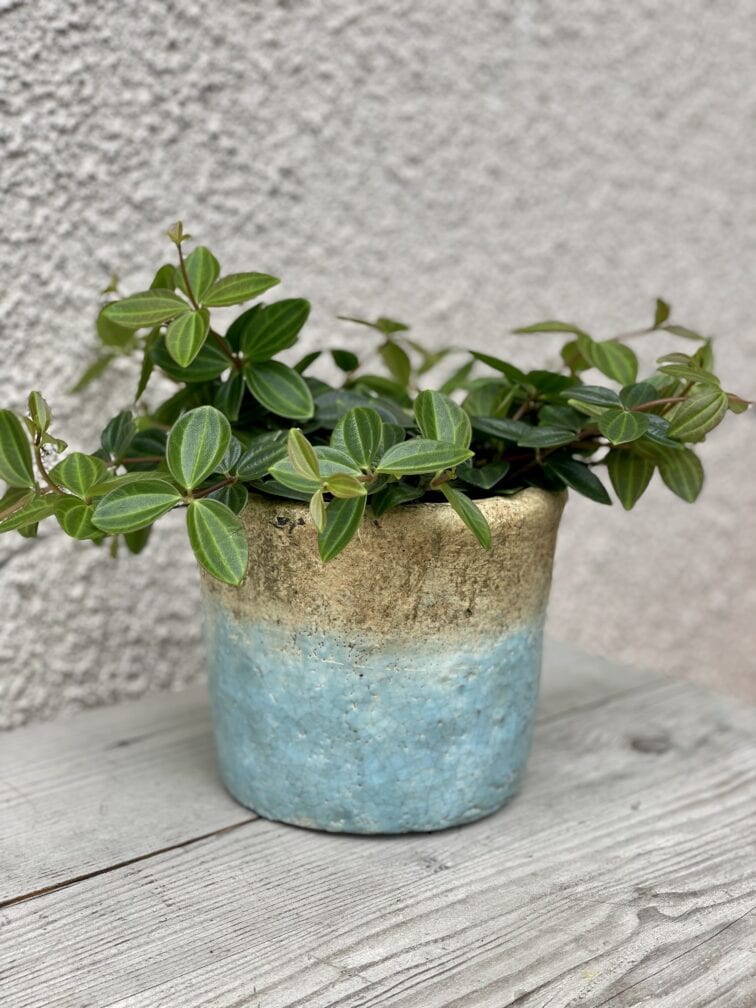 Zdjęcie doniczki lub oslonki: Osłonka Annapurna 12 × 13 cm, ujęcie 2