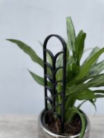 Zdjęcie akcesoria Drabinka Bamboo Wheat black 6x26 cm, ujęcie 2