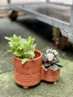 Zdjęcie doniczki lub oslonki: osłonka twins orange 5 × 6 cm, ujęcie 2
