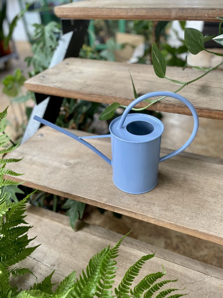 Zdjęcie akcesoria Konewka niebieska 1,5 l Konewka niebieska 1,5 l, ujęcie 1