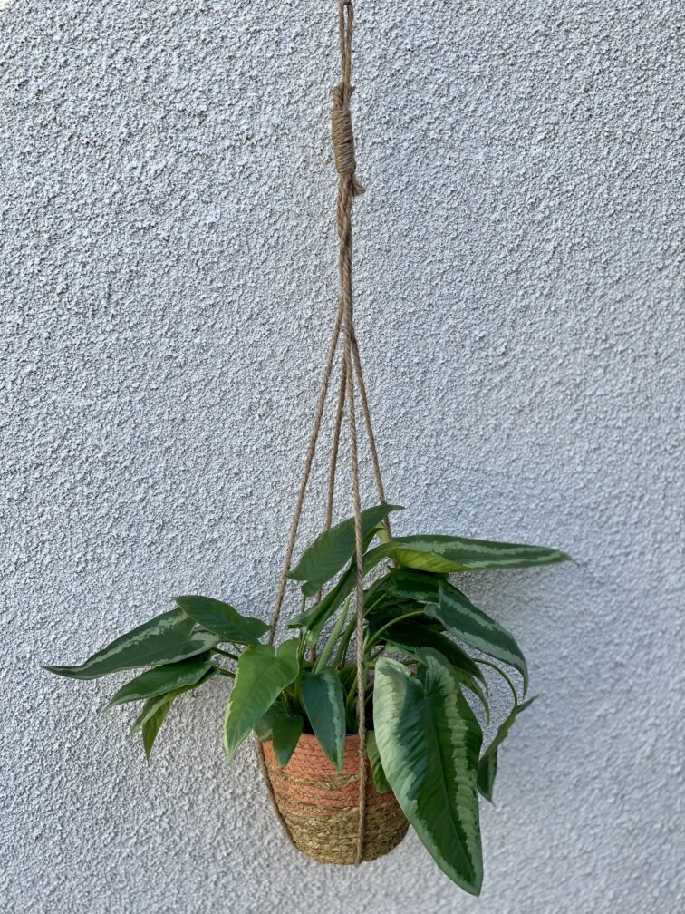 Zdjęcie doniczki lub oslonki: Osłonka Coral Basket hanging 18 × 16 cm, ujęcie 3