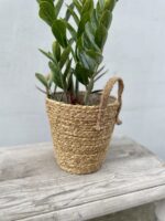 Zdjęcie doniczki lub oslonki: Oslonka basket handles 20 × 22 cm, ujęcie 2
