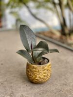 Zdjęcie doniczki lub oslonki: Osłonka drop Yellow 7x9cm, ujęcie 2