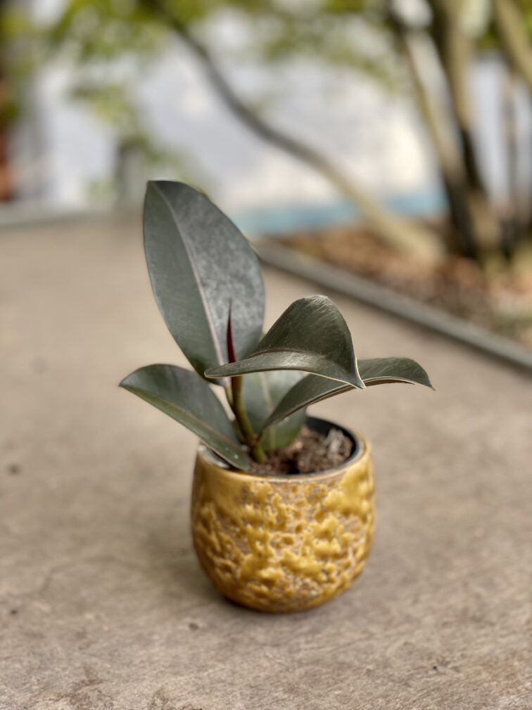 Zdjęcie doniczki lub oslonki: Osłonka drop Yellow 7x9cm, ujęcie 2