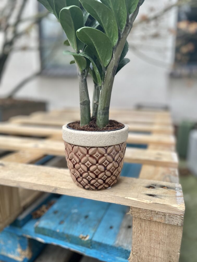 Zdjęcie doniczki lub oslonki: Osłonka Sand Stripe 10 × 11 cm, ujęcie 2