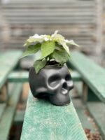 Zdjęcie doniczki lub oslonki: Osłonka Skull Black 6x8 cm, ujęcie 2