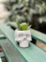 Zdjęcie doniczki lub oslonki: Osłonka Skull White 6x8 cm, ujęcie 2