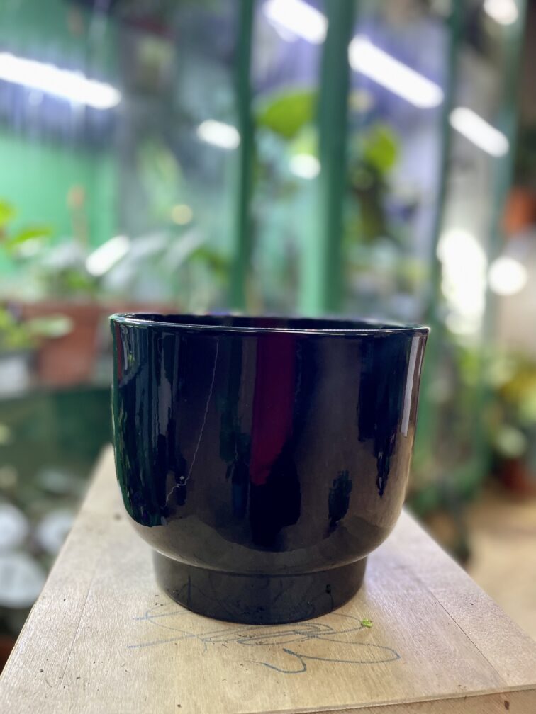 Zdjęcie doniczki lub oslonki: Osłonka Black Pearl 16x15 cm, ujęcie 3