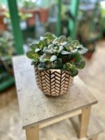 Zdjęcie doniczki lub oslonki: Osłonka Fishbone Peach 12x13 cm, ujęcie 2