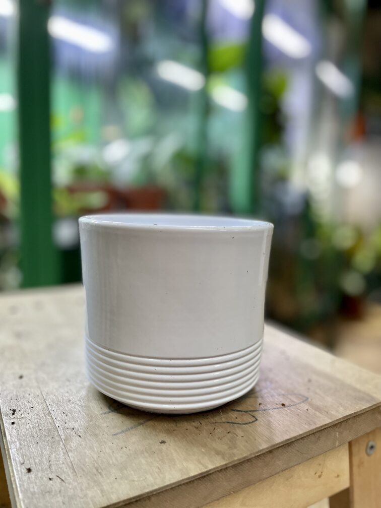 Zdjęcie doniczki lub oslonki: Osłonka grooves White 12x11 cm, ujęcie 1