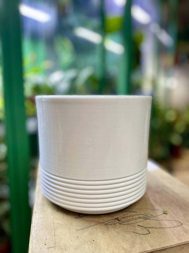 Zdjęcie doniczki lub oslonki: Osłonka grooves White 15x15 cm, ujęcie 3