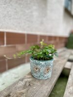 Zdjęcie doniczki lub oslonki: Osłonka lace 10x9 cm, ujęcie 2