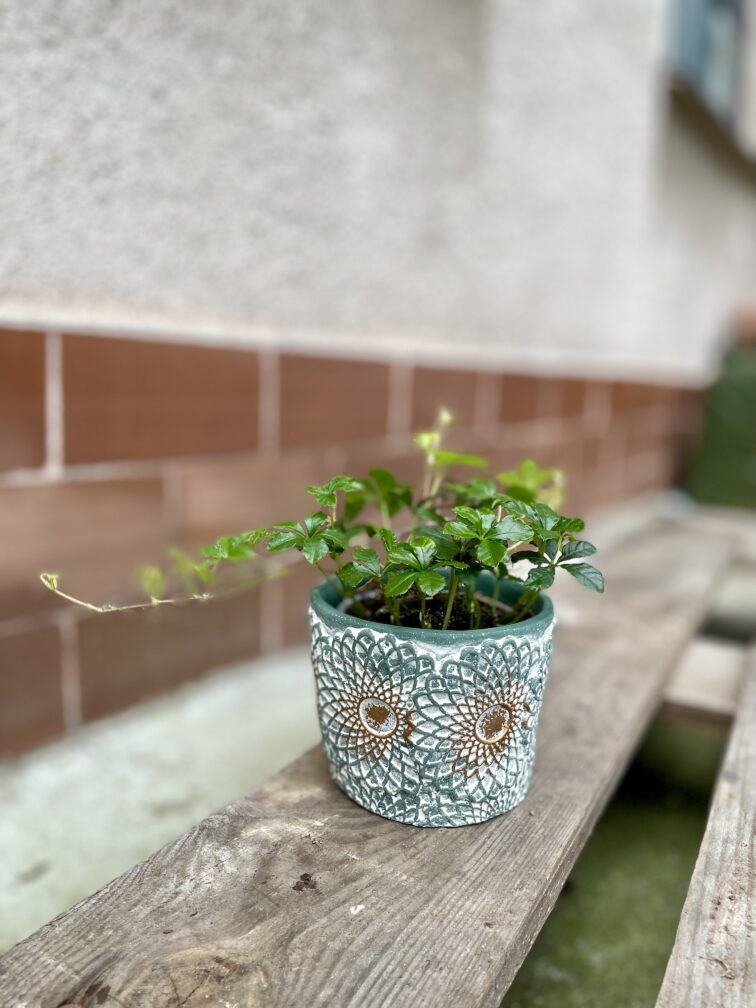 Zdjęcie doniczki lub oslonki: Osłonka lace 10x9 cm, ujęcie 2