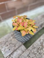Zdjęcie doniczki lub oslonki: Osłonka origami Grafit 12x12 cm, ujęcie 4