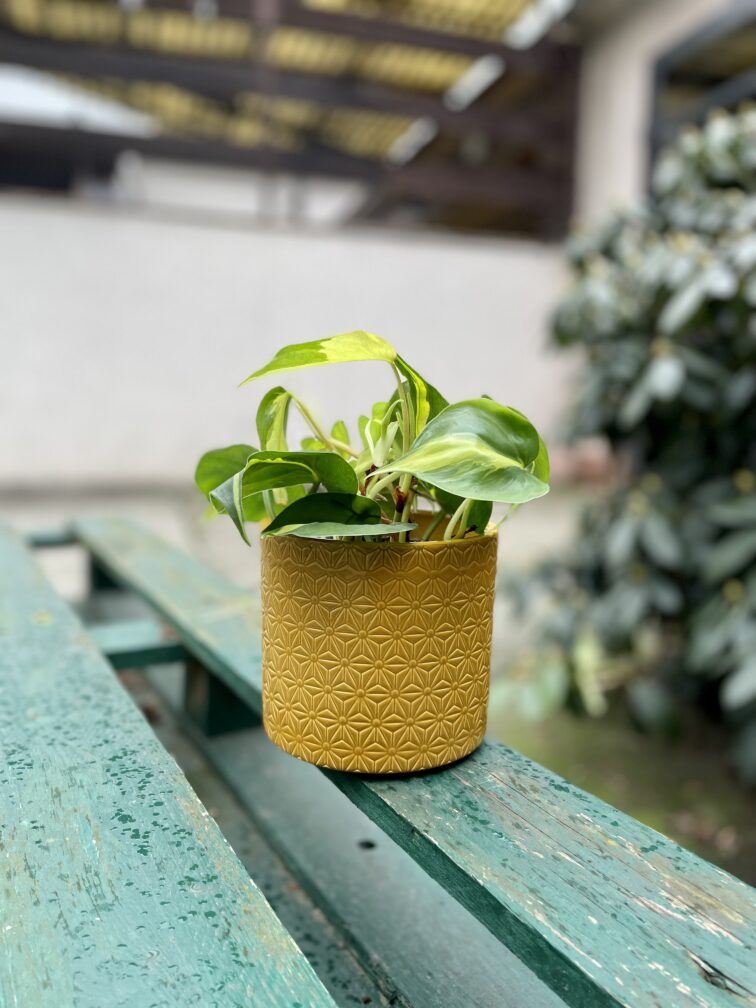Zdjęcie doniczki lub oslonki: Osłonka origami Yellow 12x12 cm, ujęcie 2