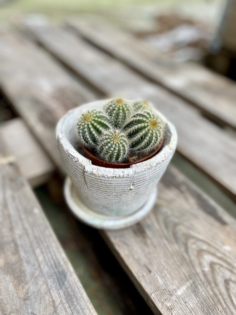 Zdjęcie doniczki lub oslonki: Osłonka rubbed White 10x10 cm, ujęcie 4