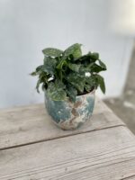 Zdjęcie doniczki lub oslonki: Oslonka stain Blue 13x14cm, ujęcie 3