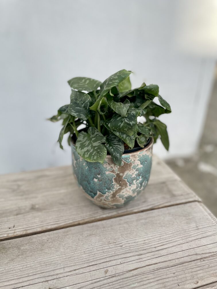 Zdjęcie doniczki lub oslonki: Oslonka stain Blue 13x14cm, ujęcie 3