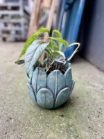 Zdjęcie doniczki lub oslonki: Osłonka tulip 12x15 cm, ujęcie 3